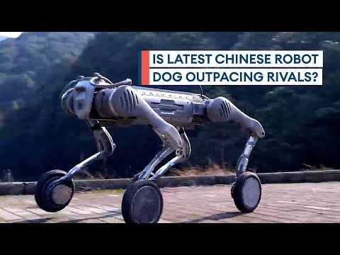 China's new Unitree B2-W robot dog boasts incredible agility and balance