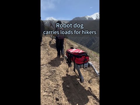 China's robot dog helps hikers at high altitudes