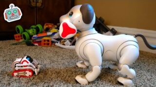 Cozmo Meets Aibo Robot Dog