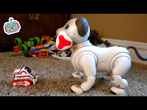 Cozmo Meets Aibo Robot Dog