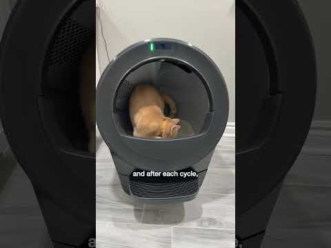 Does Litter Robot's NEW Litter Box ACTUALLY Work Well? 🤔