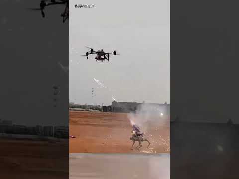 Drone vs robot dog