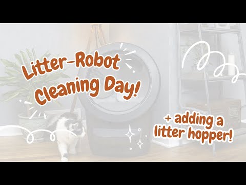 Giving our Litter-Robot an upgrade!✨