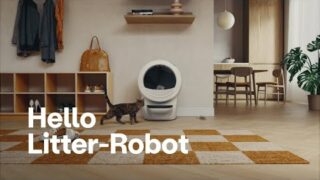 Goodbye litter box | Hello Litter-Robot