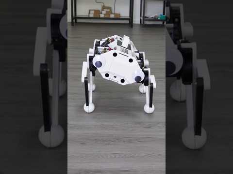 How I Built a Rope-Driven Robot Dog