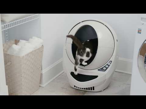 How Litter-Robot 3 Works – The Revolutionary Self-Cleaning Litter Box