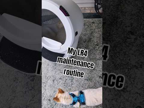 how to clean a litter robot 4 sensors (my quick maintenance routine) #rescuecats #catdaddy #cleaning