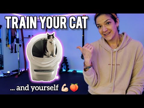 How to get my cat to use the Litter Robot 4? STEP BY STEP training tips!