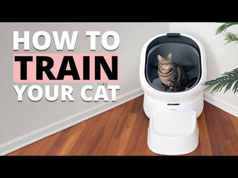 How to Train Your Cat to Use Litter-Robot | Beginner Guide