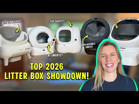 I Tested The 5 Best Automatic Litter Boxes of 2026 So You Don't Have To