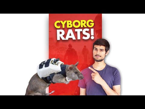 India’s Secret Cyborg Rats made by DRDO!
