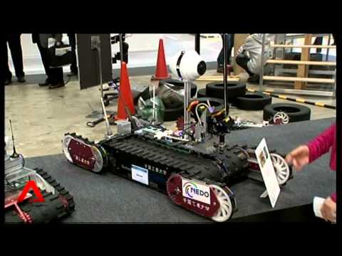 Japan Service Robots