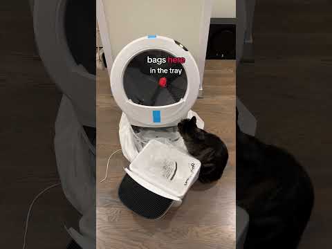 LITTER-ROBOT 4 HONEST REVIEW 🙀🙀🙀