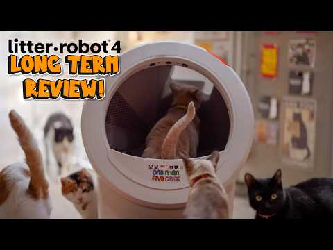 Litter-Robot 4 Long-Term Review: Still Worth It After 3 Years?
