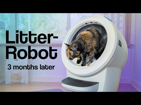 Litter-Robot 4 Review – 4 Cats Used It For 3 MONTHS! EVERYTHING You Need To Know! | Raymond Strazdas