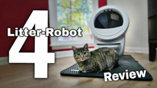 Litter-Robot 4 Review: The BEST Self-Cleaning Cat Litter Box?