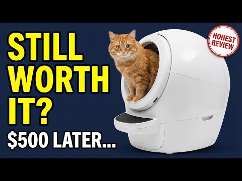 Litter Robot 4 Worth It? Honest Update After 8 Months