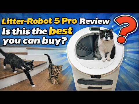 Litter-Robot 5 Pro Automatic Litter Box with Ai Cameras – The BEST you can buy?