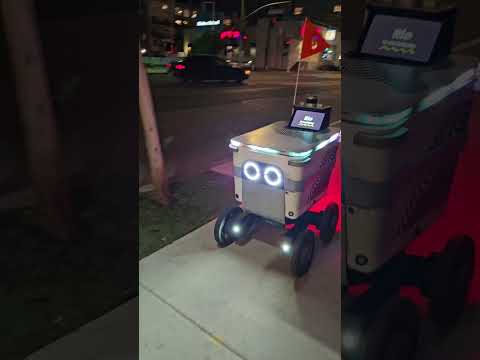 Meet Serve Robotics | The Future of Robotic Delivery Food 🤖🚀 #shorts #2025 @MiracleMiles