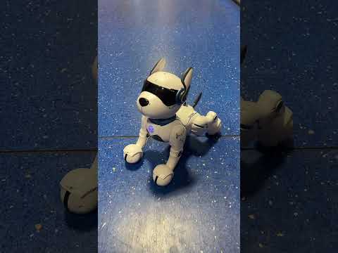 Meet Ziggy the Robo Dog 🐾🤖 Product code 🔎 188373 #smythstoys #ziggy #robotdog #toyshorts