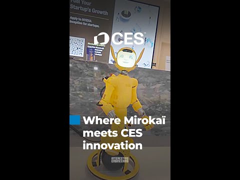 Mirokaï: The Friendly Face of Service Robotics