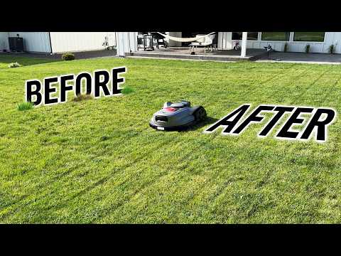 My Neighbor HATES my New Robot Lawn Mower 😅