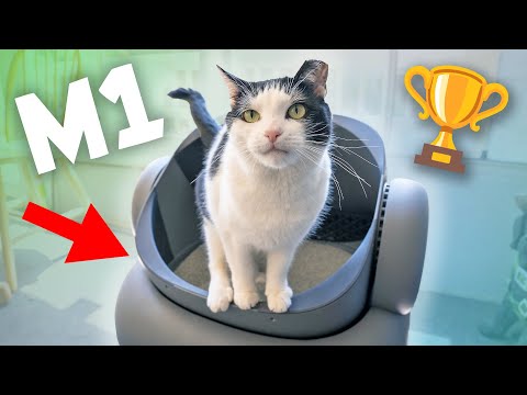 Neakasa M1 Automatic Litter Box Review – Your Cat Deserves This Litter Box! 🏆