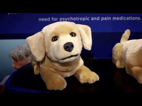 Robot dog meant to comfort dementia patients turns heads at CES | REUTERS