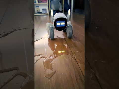 #robotdog  #loona Robot Dog Isn’t this more fun than an iron egg