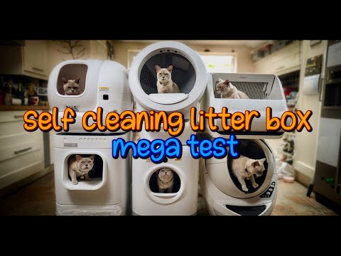 Self-Cleaning Litter Box Mega Test: LITTER-ROBOT 4 REVIEW