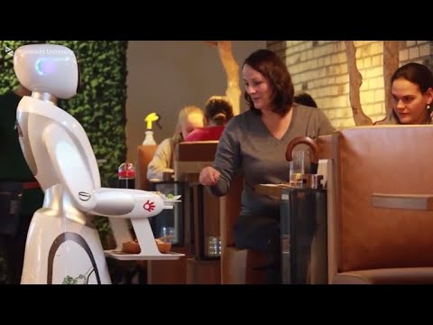 Service robots: rising or falling stars?