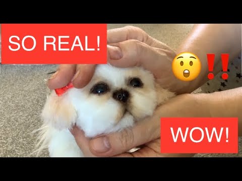 Ultra Realistic Puppy Reborn Puppy Etsy Art Doll Lifelike Dog Tiny Teacup Shih Tzu Puppy Unboxing