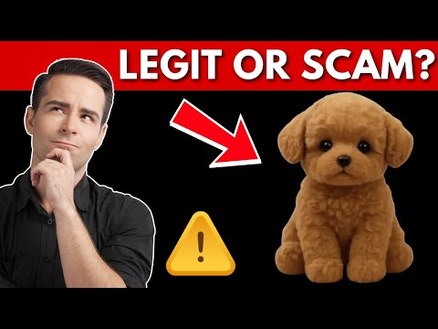 Waggy AI Robot Dog Review: Realistic AI Puppy SCAM!
