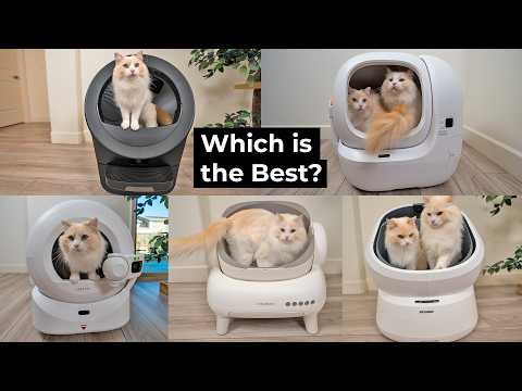 Which is the Best Automatic Litter Box in 2026? | The Cat Butler