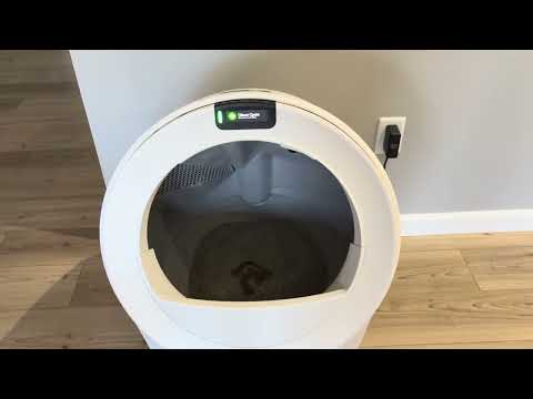 Whisker Litter Robot 5 Pro Robotic Litter Box review